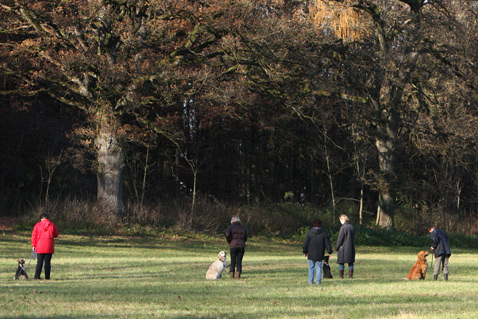Für Sie und Ihren Hund stehen uns verschiedene Trainingsareale z.B. in Fürstenfeldbruck und Unterbrunn (zwischen Gilching und Starnberg) zur Verfügung. Für Sie und Ihren Hund stehen uns verschiedene Trainingsareale z.B. in Fürstenfeldbruck und Unterbrunn (zwischen Gilching und Starnberg) zur Verfügung.